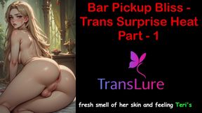 Bar Hookup's Trans Cock Shock - Part 1