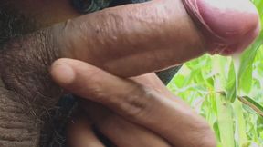 Worldwide Viral Desi Hunk Solo Action Vol 13 - Premium Faceless Close-up Intense Stroking Masterclass 4K Uncut