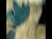 Putting bear back into bareback