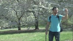 Central Park Cruising - Jimmy Durano & Colt Rivers ass Hook up