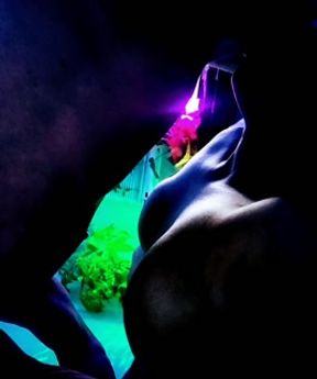 Tasting daddy's cock is the only thing that makes me cum