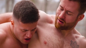 FalconStudios.com: Video
