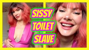 Sissy Toilet Slave 24hr Toilet Heel Training