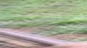 Hardcore Clip Seven Sluts Screaming in XXX Orgy Overdrive