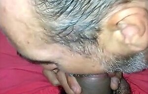 altes Maul,junger Prengel