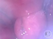 POV of the Whisk spreading my Ass from inside - Preview