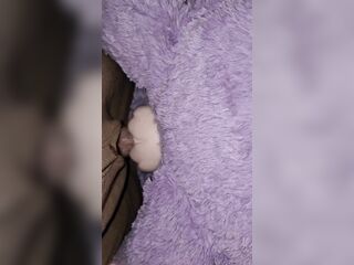 Want to watch those PLUSHIES banging?