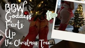 BBW Goddess Farts Up the Christmas Tree
