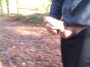 Public boner, public pissing, public flashing - Exhibitionist gay boy