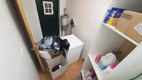 Fucking Latina Maid on the Laundry Machine