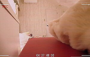 Stars-190 a beautiful y********l with sensitive tits becomes a sex toy to her abnormally sweet