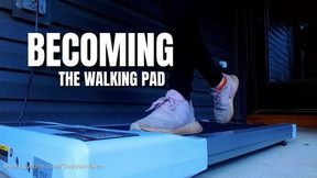 Becoming the walking pad - You only get to see what Goddexx Vixen wants you to see… use your imagination and put yourself under Her feet…