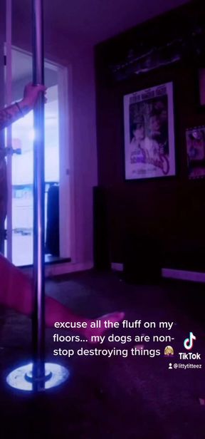 Pole dancing - littylicia