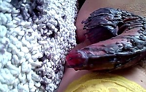 Pumped clitty gets covered in honey wax