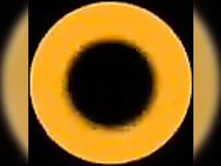 Hourglass figure willing for u ????