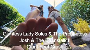 Josh & the Beanstalk II