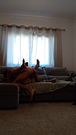 Portugueses fudendo no sofa