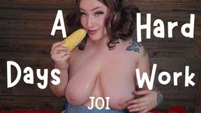 A Hard Days Work JOI