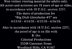 Riley Evans Gloryhole Blowjobs: Big Dicks and Tits in the Bathroom