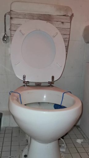 SissyFemboySlut