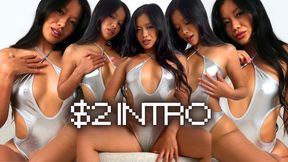 $2 Introduction