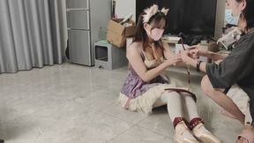 ballet little female dog