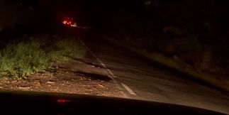 Maybe the sight of me naked outside made them drive away