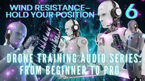 The Nlp Toolbox: Drone Training Audio Series From Beginner to Pro - Wind Resistance-hold Your Position