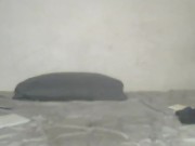 my ass drink it i squirt it