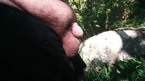 Superchub Sigma Pisses with Unwashed Smegma Cock in Sunshine