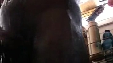Cdzinha Maylopes Mostra Seu Cuzinho