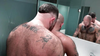 Bareback, kissing, licking, hairy, bathroom &#8211; bear amateur gay whores fucked in the ass