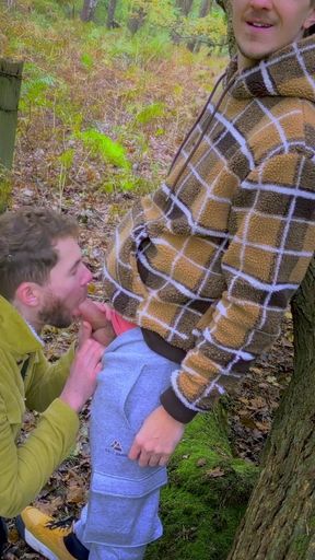 Sneaky BJ at the Park