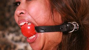 Gorgeous Veronica Single Sleeved & Strapped Up Tight with a HUGE Ball gag Strapped in Big, Sexy Filipino Mouth! RE ENCODE 2024