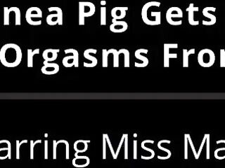 Human Guinea Pig Gets Mandatory Hitachi Orgasms From Nurse - Miss Mars