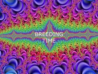 DIRTY BREEDING WHORE GETS IMPREGENATED AND CREAMPIED DEEP / DADDY DOM EROTICA