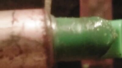 The game of kissing pussy continued in broad daylight and I kissed