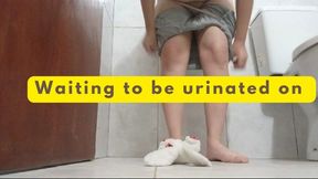 Waiting to be urinated on and squashed