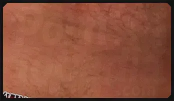 Gay Man Masturbates with Dildo in Ass - Solo & Intense 320p