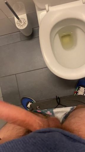 Toilet wanki