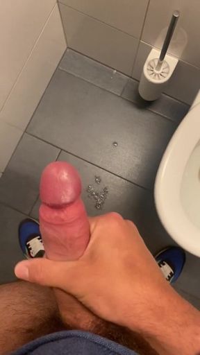 Toilet wanki
