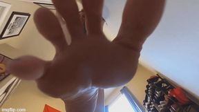 Giantess Adlee Ray corners you VR4K