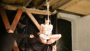 ”Suspended from above”