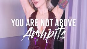 You Are Not Above Armpits