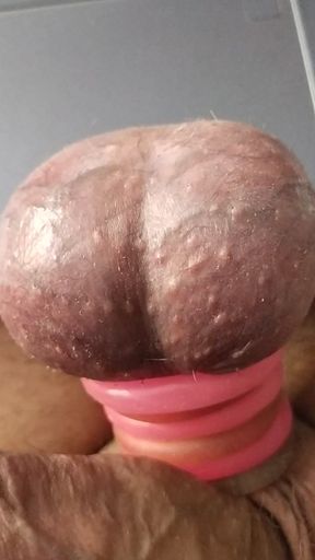 Ruler Pain On Ring On Balls 2025