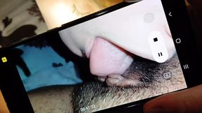 Three Roommates Engage in Intimate Sex