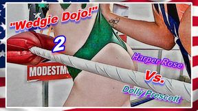 Wedgie Dojo! 2 WMV