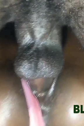 African Hottie with Small Breasts Spread Her Tight Ass and Wet Pussy