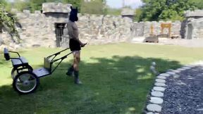 Taking my BRUISED ponyboy in to the thorny bush