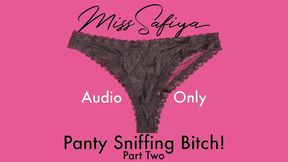 AUDIO ONLY - Panty sniffing bitch Pt 2